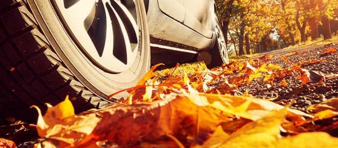 چک کردن خودرو درپاییز